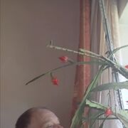  ,   , 73 ,   ,   , c 