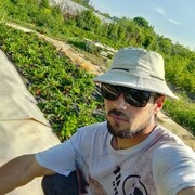  -,   , 31 ,   ,   