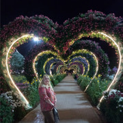  ,   , 44 ,     , c 
