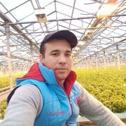 ���������� ������, ���� ������� ���, 36 ���, ������������ ��� ������, ����� � ���������, c�������� ���������, ���������