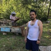 ���������� �������, ���� ������� �������, 36 ���, ������������ ��� ������, ����� � ���������, ���������