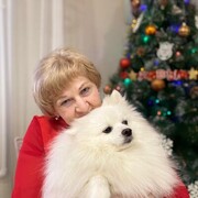 ���������� �������, ���� ������� �����, 66 ���, ������������ ��� c�������� ���������