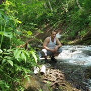  -,   , 41 ,   ,   , c 