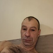  Jelcz,  , 51
