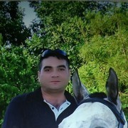 ,  timur, 45