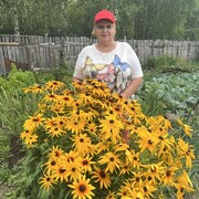 ���������� ������, ���� ������� ���������, 65 ���, ������������ ��� ������, ����� � ���������