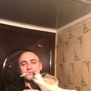 ���������� �����, ���� ������� ������, 43 ����, ������������ 