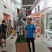  ,   , 38 ,   ,   