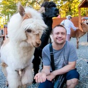 ���������� �����-���������, ���� ������� ��������, 37 ���, ������������ ��� ������, ����� � ���������, c�������� ���������