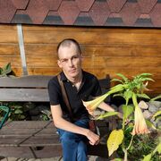 ���������� �����������, ���� ������� ����, 36 ���, ������������ ��� ������, ����� � ���������