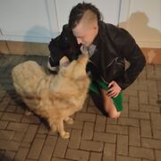  --,   , 29 ,   ,   