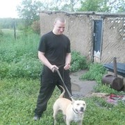 ���������� ����, ���� ������� �������, 38 ���, ������������ ��� ������