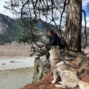 ���������� �����������, ���� ����� ���������, 20 ���, ������������ ��� ������, ����� � ���������, ���������