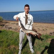 ���������� �������, ������� �����, 49