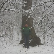  ,   AMA07 667710, 39 ,   ,   , c 