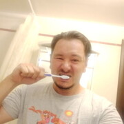  ,   , 41 ,   ,   