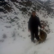 ���������� ������, ���� ������� ���������, 31 ���, ������������ ��� ������, ����� � ���������, c�������� ���������