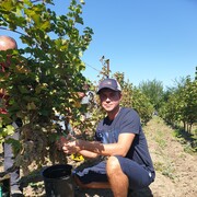 ���������� ������������, ���� ������� ����, 40 ���, ������������ ��� ����� � ���������, c�������� ���������