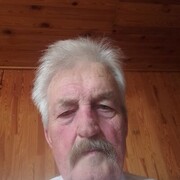  -,   , 74 ,   ,   