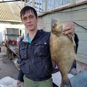  ,   , 44 ,   ,   