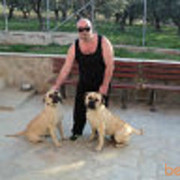 Alexandroupolis,   Ioannis, 56 ,   