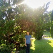 ���������� ���������, ���� ������� ������, 36 ���, ������������ ��� ������, ����� � ���������, c�������� ���������