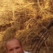 ���������� ���, ���� ������� ���������, 43 ����, ������������ ��� c�������� ���������