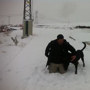  ,   Cenk, 48 ,   ,   , c 