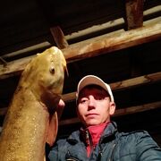 ���������� ������, ���� ������� ������, 42 ����, ������������ ��� ������, ����� � ���������