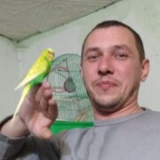 ���������� �����������, ���� ������� ��������, 46 ���, ������������ ��� c�������� ���������