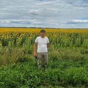 ���������� ��������, ������� �����, 39