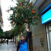  ,   , 36 ,   