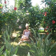  ,   , 44 ,   ,   