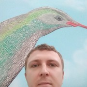  ,  , 36