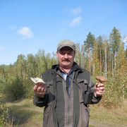  -,   , 61 ,   