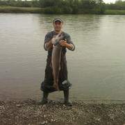 ���������� �����, ���� ������� ������, 44 ����, ������������ ��� ����� � ���������, c�������� ���������