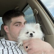 ���������� ����������, ���� ������� ����, 29 ���, ������������ ��� ������, ����� � ���������