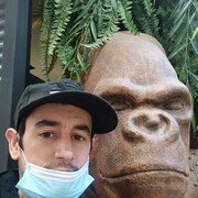  ,   , 33 ,   ,   