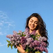 ���������� ���������, �����