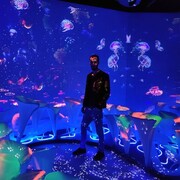 ���������� �������, ���� ������� ����, 32 ����, ������������ ��� ������, ����� � ���������