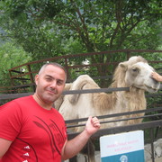 ���������� ������, ���� ������� ����, 49 ���, ������������ ��� ����� � ���������, c�������� ���������