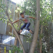 ���������� �������, ���� ������� ADRYUXA, 33 ����, ������������ ��� ������, ����� � ���������, c�������� ���������