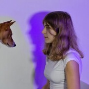 ���������� ���������, ���� ������� ��������, 21 ���, ������������ ��� ����� � ���������