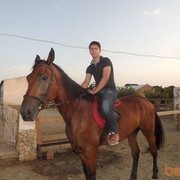 ���������� ����, ���� ������� Orxan, 36 ���, ������������ ��� ������, ����� � ���������, c�������� ���������