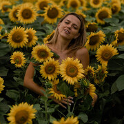  ,   , 34 ,   ,   