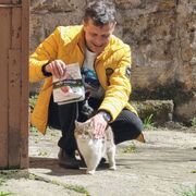 ���������� �����������, ���� ������� ������, 41 ���, ������������ ��� ������, ����� � ���������, c�������� ���������, ���������