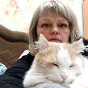 ���������� ���������, ���� ������� �����, 48 ���, ������������ ��� ������, ����� � ���������, c�������� ���������