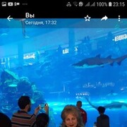 ���������� �������, ���� ������� �������, 57 ���, ������������ ��� c�������� ���������