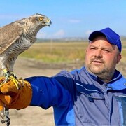  ,   Viktor, 34 ,     , c 