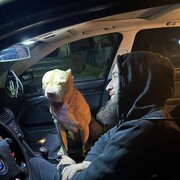 ���������� ����������, ������ Karin, 25